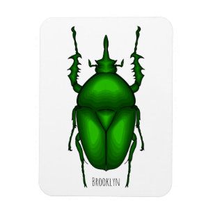 Íman Imagem do inseto Mecynorhina torquata