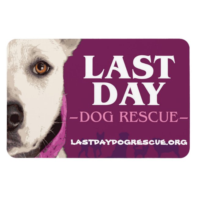 Íman Imagem do logotipo LDDR 4"x 6" (Horizontal)