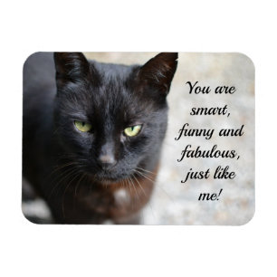 Íman Imagem do Lover Gato Preto com Citação Motivativ