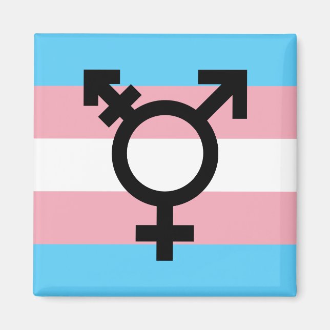 Íman Imagem do Orgulho Transgênero (Frente)