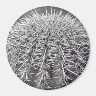 Íman Imagem do Refrigerador do Deserto de Cactus Sonora