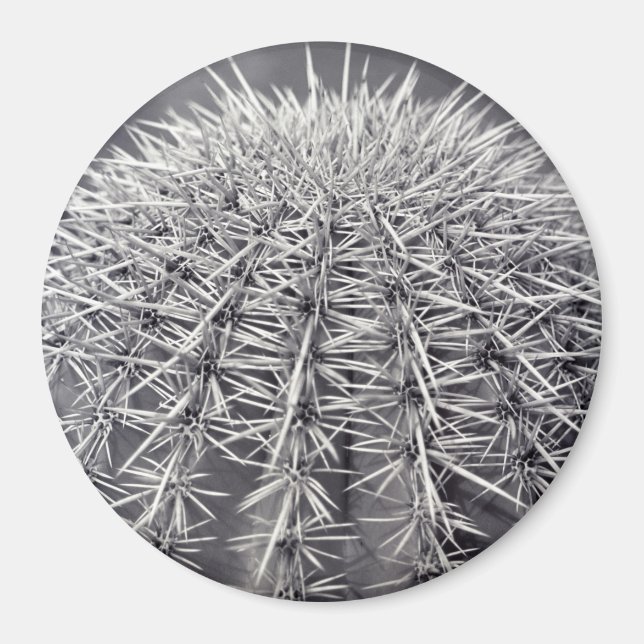 Íman Imagem do Refrigerador do Deserto de Cactus Sonora (Frente)