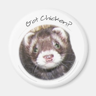 Íman Imagem do rosto de Ferret