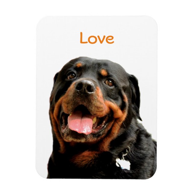 Íman Imagem do Rottweiler (Vertical)