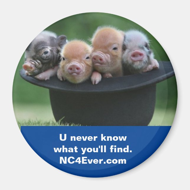 Íman Imagem do Shelby NC (Frente)