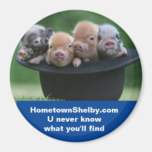 Íman Imagem do Shelby NC