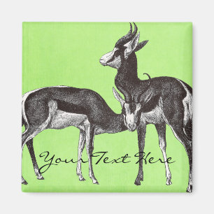 Íman Imagem do Springbok Vintage