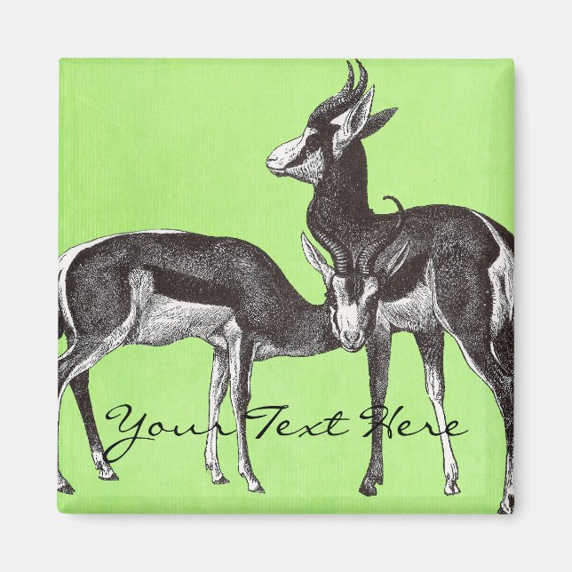 Íman Imagem do Springbok Vintage (Frente)