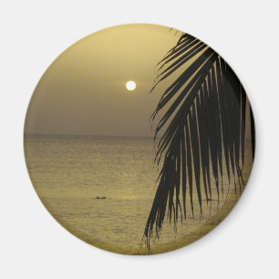 Íman Imagem do Sunset