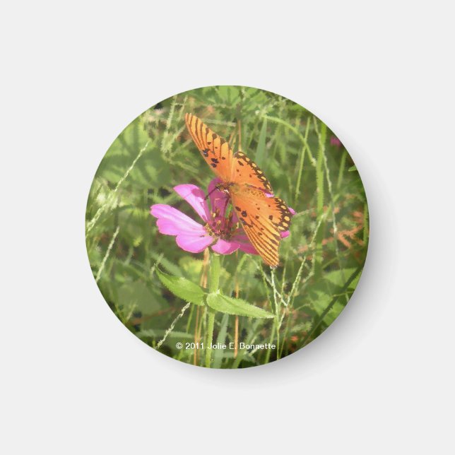 Íman Imagem do Zinnia & Butterfly (Frente)