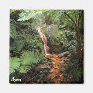 Íman Imagem dos Açores - Caldeira Velha