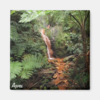 Íman Imagem dos Açores - Caldeira Velha