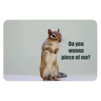 Íman Imagem engraçada do Chipmunk