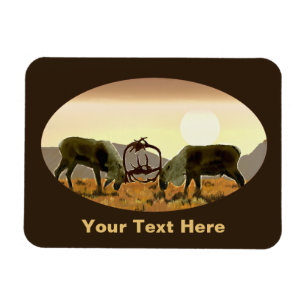 Íman Imagem farinada