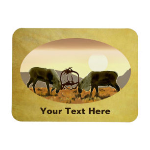 Íman Imagem farinada