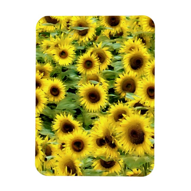 Íman Imagem flexível (Vertical)