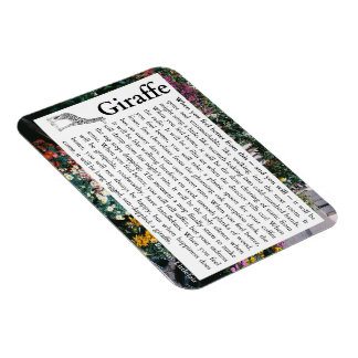 Íman Imagem flexível