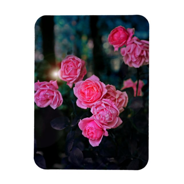 Íman Imagem flexível (Vertical)