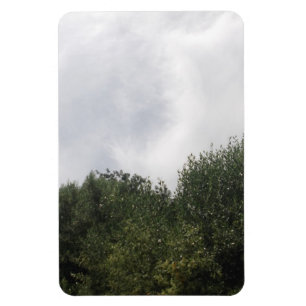 Íman Imagem flexível