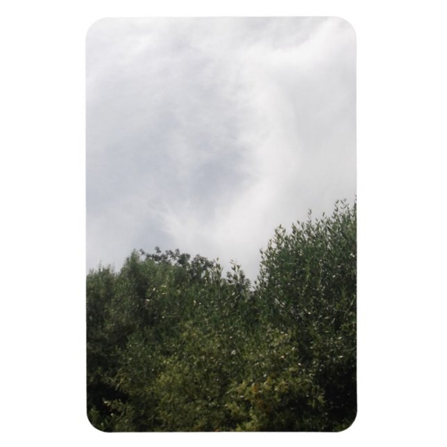 Íman Imagem flexível (Vertical)