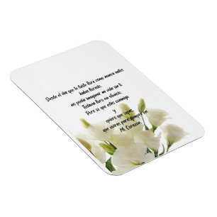 Íman Imagem flexível