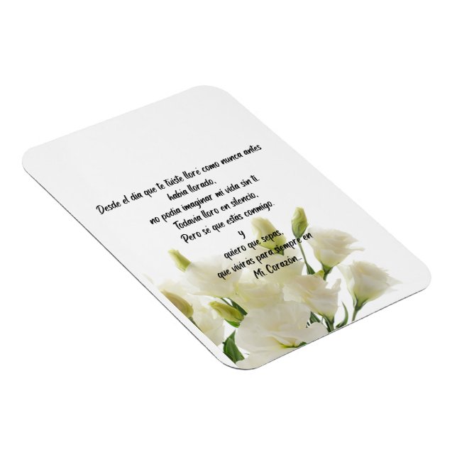 Íman Imagem flexível (Lado Direito)