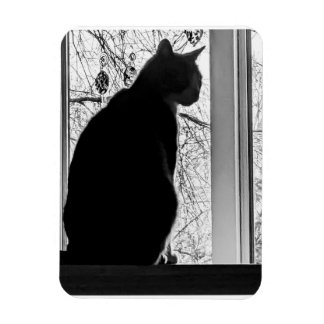 Íman Imagem flexível