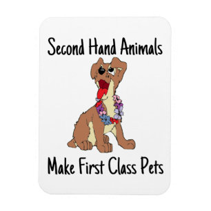 Íman Imagem flexível