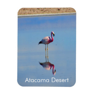 Íman Imagem Flexível do Deserto de Flamingo Atacama