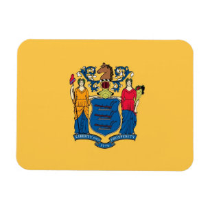 Íman Imagem flexível patriótica com bandeira de Nova 