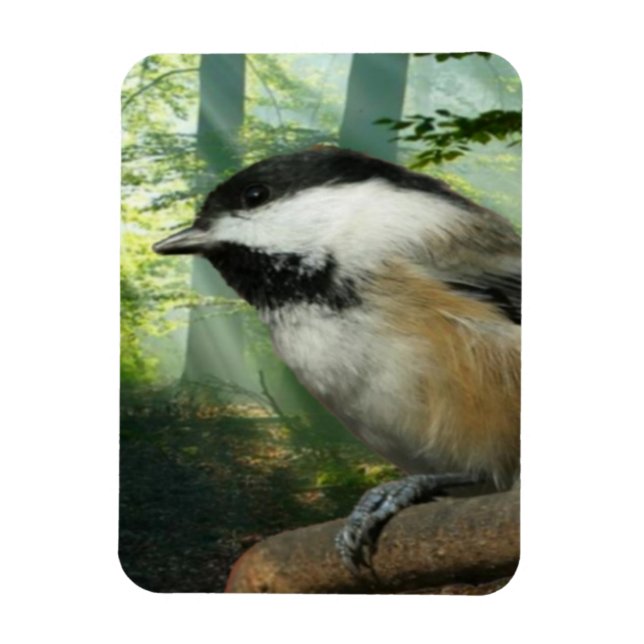 Íman Imagem fotográfica 3x4 (Vertical)