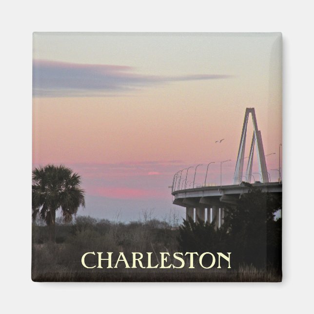 Íman Imagem Fotográfica de Charleston Souvenir (Frente)