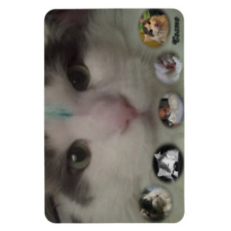 Íman Imagem fotográfica do Cosmo Collage