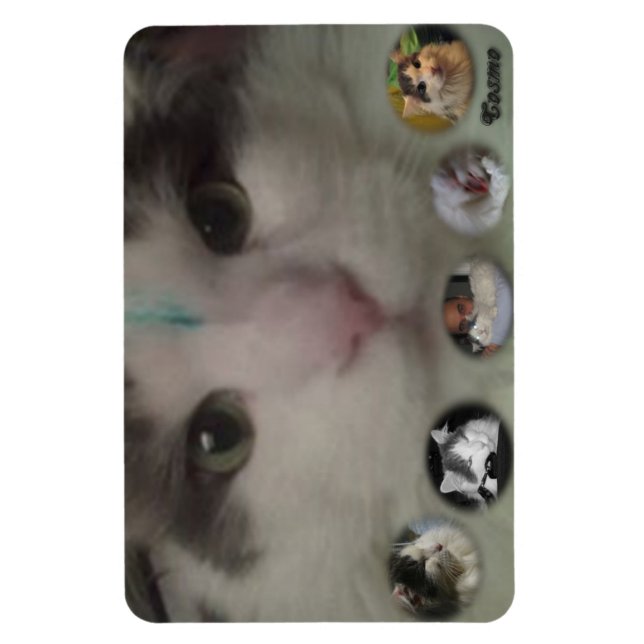 Íman Imagem fotográfica do Cosmo Collage (Vertical)