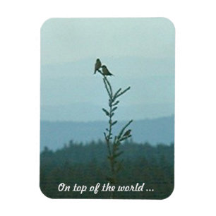 Íman Imagem fotográfica - No topo do mundo ...