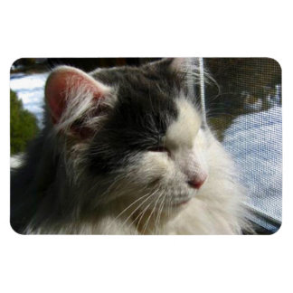 Íman Imagem fotográfica personalizada Cosmo 4 X 6