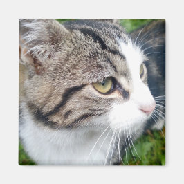 Íman Imagem fotográfica personalizada para o frigorífic