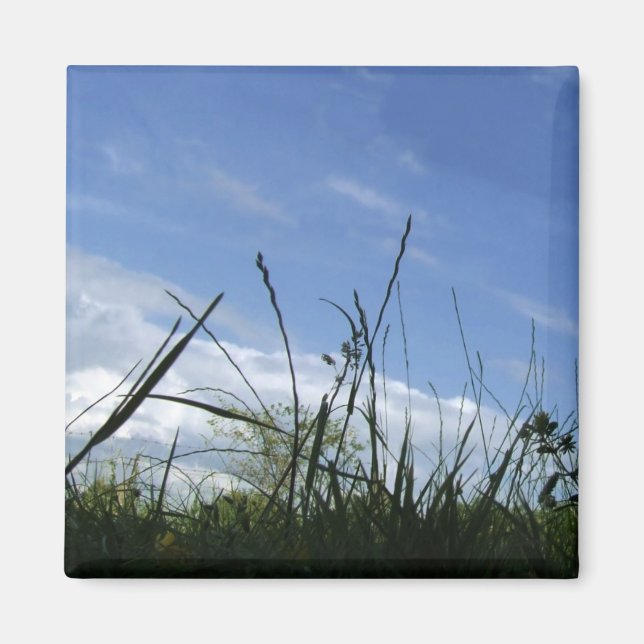 Íman Imagem natural (Frente)