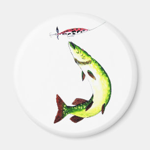 Íman Imagem para a pesca com tubarões
