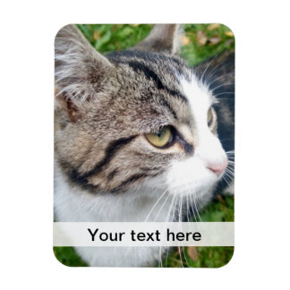 Íman Imagem personalizada | Carregue sua imagem aqui