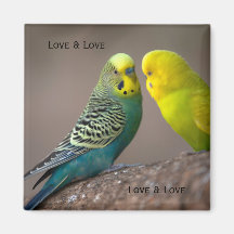 Imagem personalizada de dois papagaios com texto Í