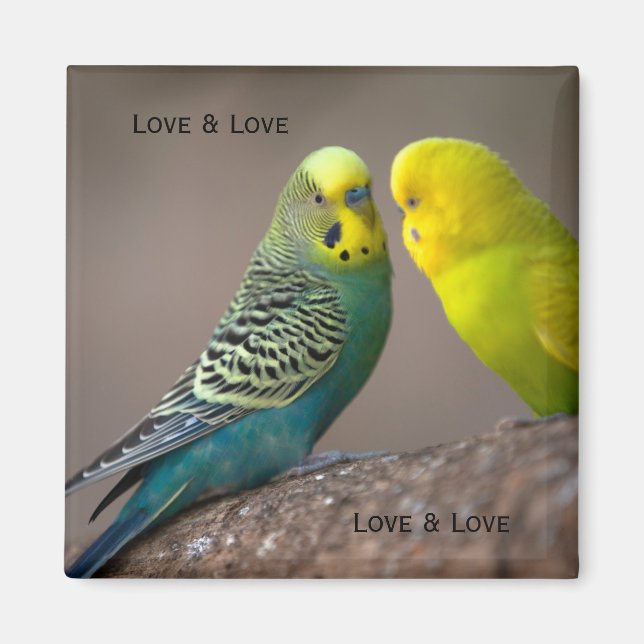 Íman Imagem personalizada de dois papagaios com texto Í (Frente)