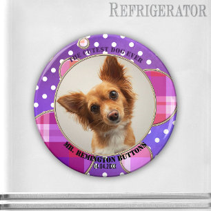 Íman Imagem Personalizada de Foto Pet Keepsasasasasasak