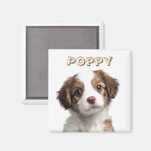 Íman Imagem Personalizada de Fotografia de Cachorro - N