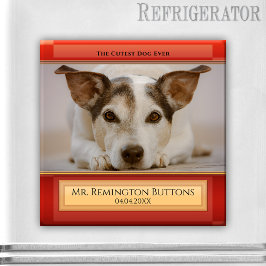 Íman Imagem Personalizada de Fotografia Personalizada p