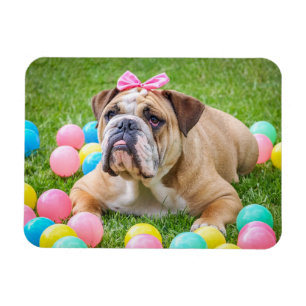 Íman Imagem Personalizada de Pet de Cachorro