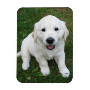 Íman Imagem personalizada personalizada de foto I Pet