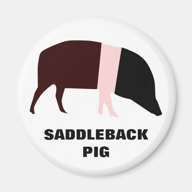 Íman Imagem Personalizável do Porco Saddleback (Frente)