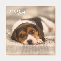 Imagem Pet Personalizável com Fotografia e Nome