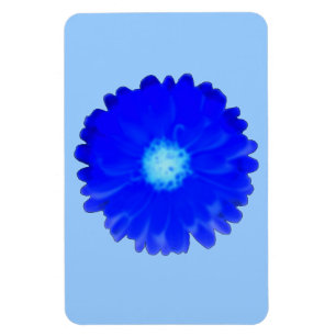 Íman Imagem Premium Azul legal Marigold